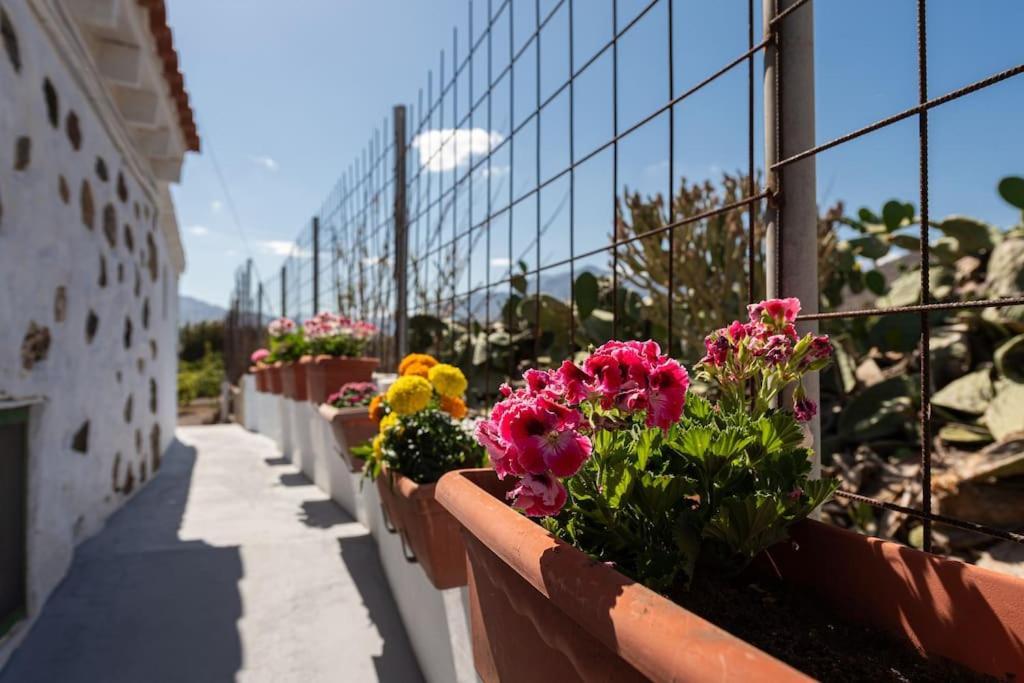 Vivienda Vacacional Ca' Pepita Y Jose El Albercon Zewnętrze zdjęcie