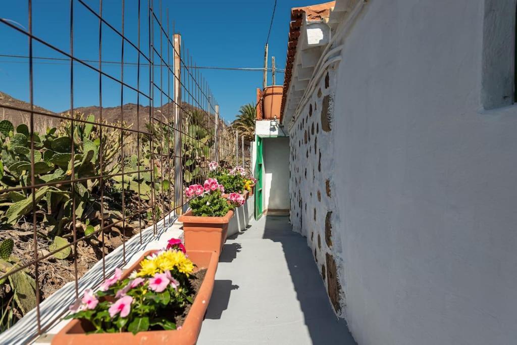 Vivienda Vacacional Ca' Pepita Y Jose El Albercon Zewnętrze zdjęcie